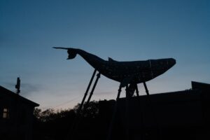 Read more about the article 미국 국방부, 앤플릭 공급망 위험 지정, 그리머-한국인공지능게임협회 교육·문화 콘텐츠 협력