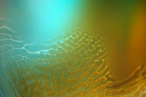 Read more about the article 엔비디아 GTC에서 1000억 달러 AI 칩 판매 전망 발표, 도메인 맞춤 임베딩 모델 하루 만에 구축 가능