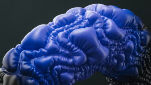 Read more about the article 스트라드비젼 코스닥 예비심사 통과, 로볼루션 영진전문대와 인재 양성 협약 체결, 전남도 자율주행차 전자파 평가 인프라 구축, 서울시설공단 AI 테스트베드 개방, 서울AI재단 어르신 AI 교육 확대