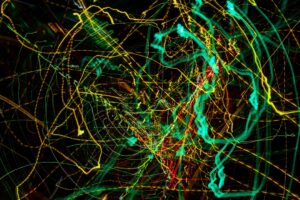 Read more about the article AI FDS 금융 보안 핵심 인프라로 부상, 과기정통부 AI 협업툴 전환, 케빈랩 글로벌 유니콘 도약, 대전창업문화주간 열려
