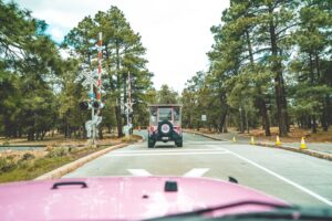 Read more about the article 하와이 돌고래 4.5m 점프 사진 논란, 앤티크럽 코딩툴 개발자 클라우드 접근 금지